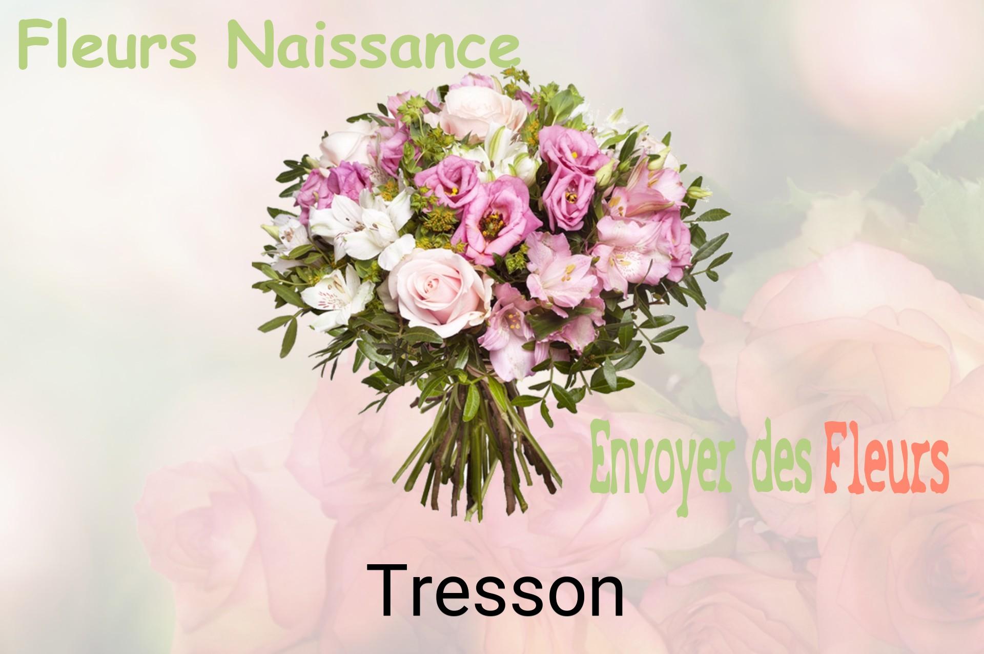 Bouquet de fleurs de naissance livré à Tresson