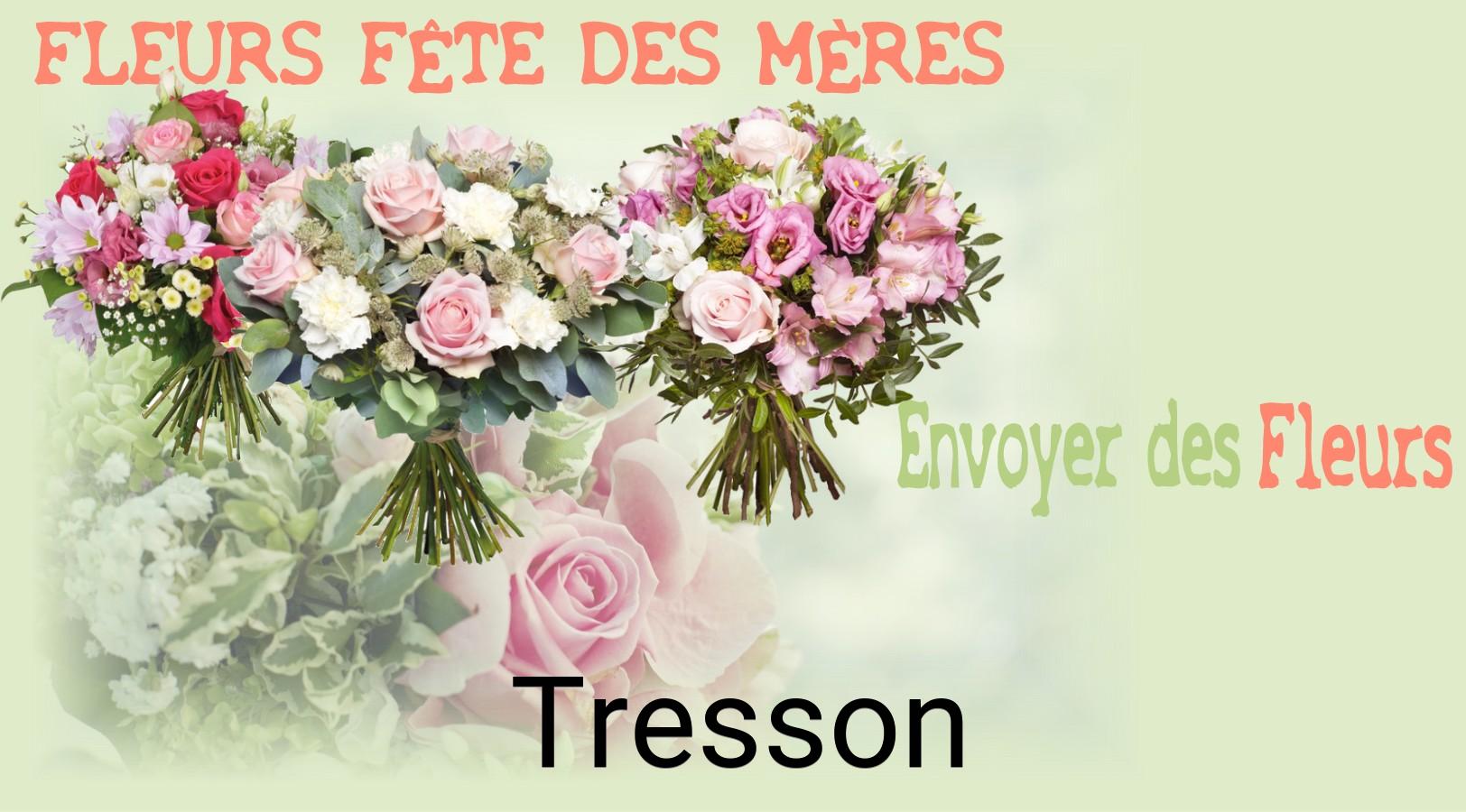 Bouquet de Fête des Mères livré à Tresson